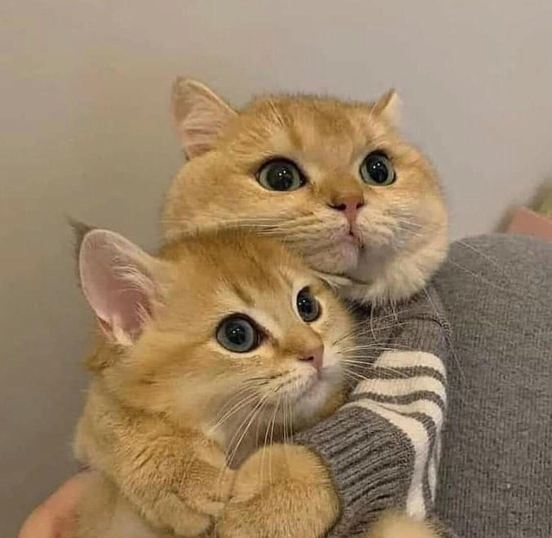 could be us👉🏻👈🏻